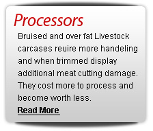 Processing plant solutions