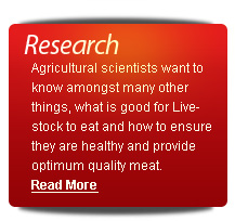 Research and development