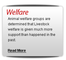 Animal welfare considerations