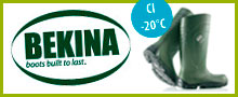 Bekina