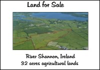 Agricultural Land River Shannon